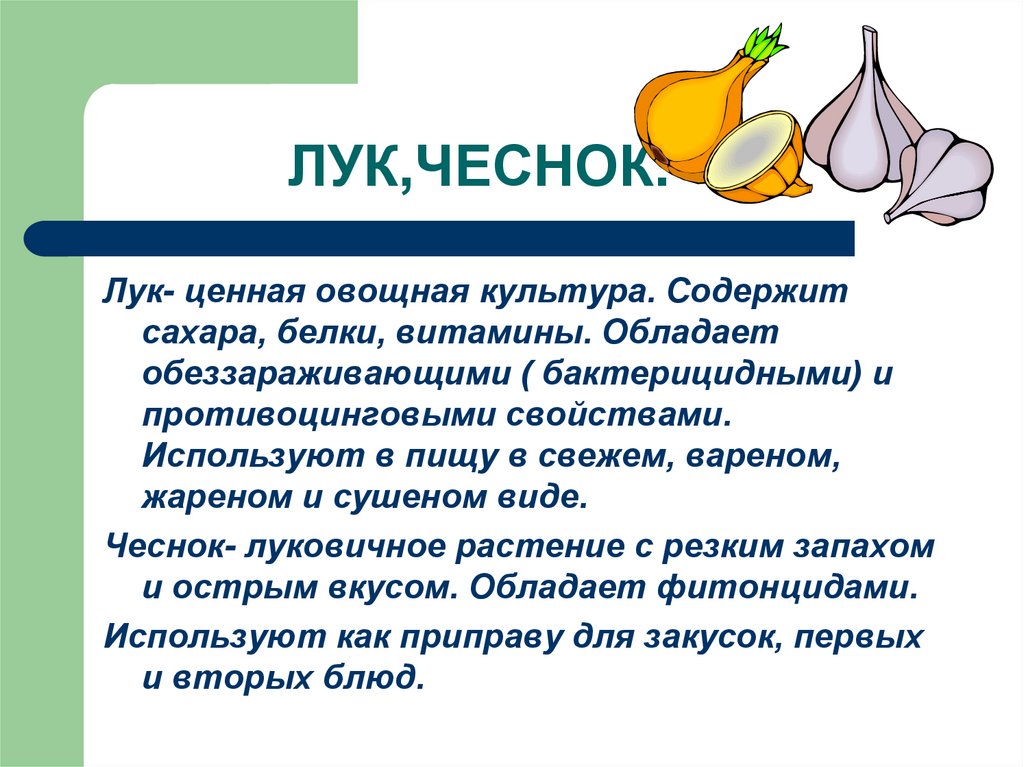 ЛУК,ЧЕСНОК.