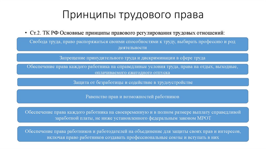 Основные принципы трудового