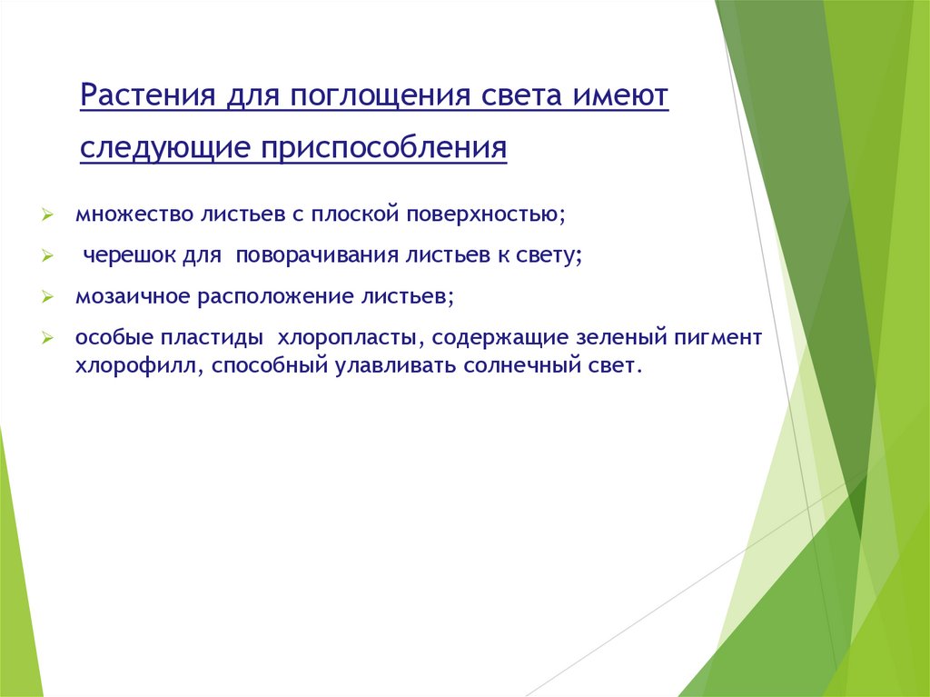 Какие приспособления к улавливанию световой энергии имеют