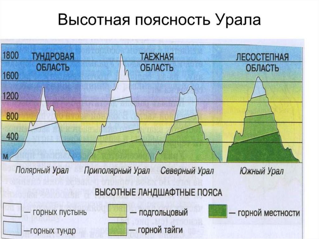 Карта высотных поясов