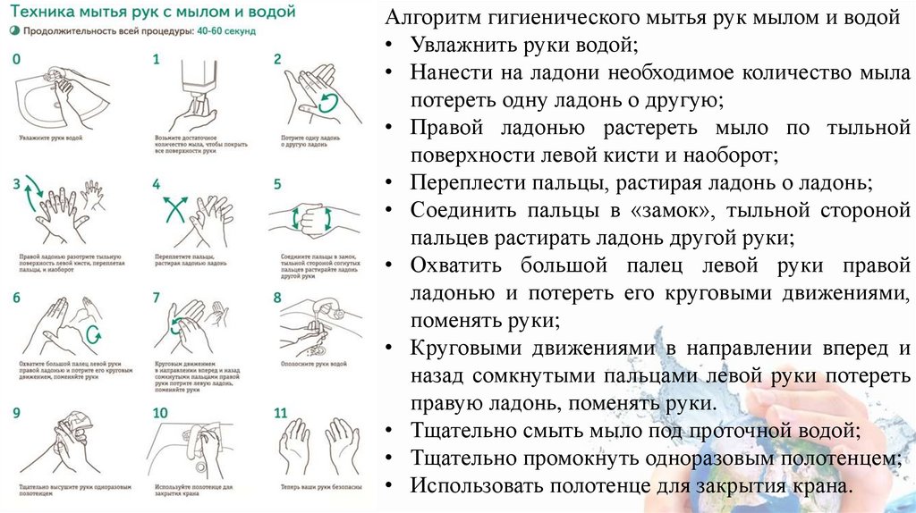 Мытье рук гигиеническим способом алгоритм