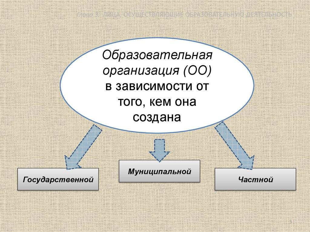 Лиц осуществление деятельности