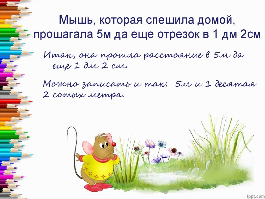 Мышь, которая спешила домой, прошагала 5м да еще отрезок в 1 дм 2см