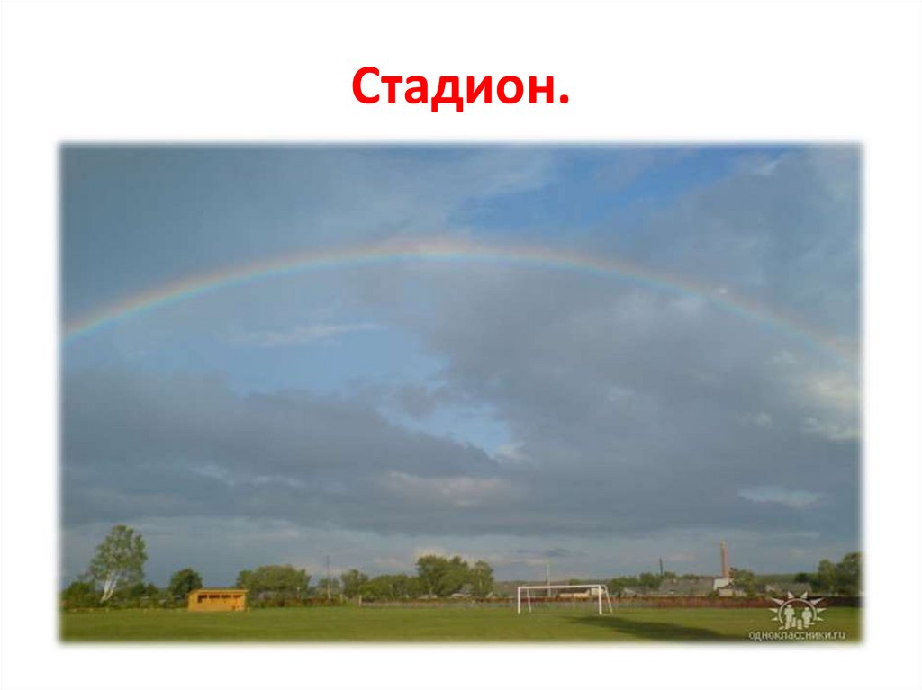 Стадион.