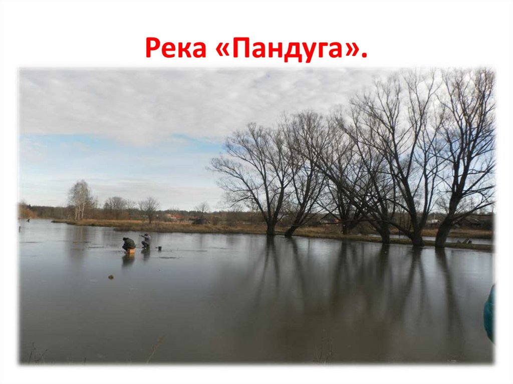 Река «Пандуга».