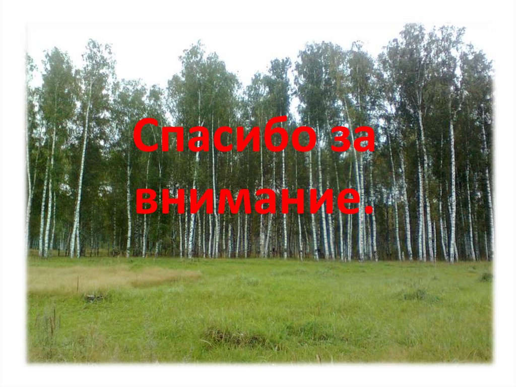 Спасибо за внимание.