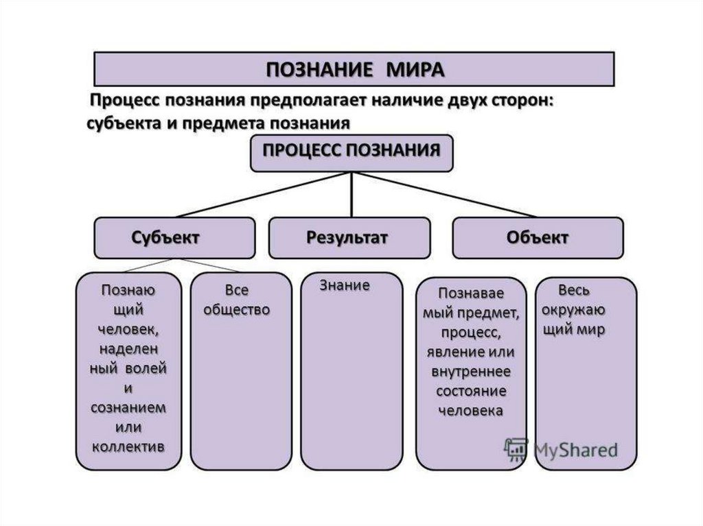 Познание мира план