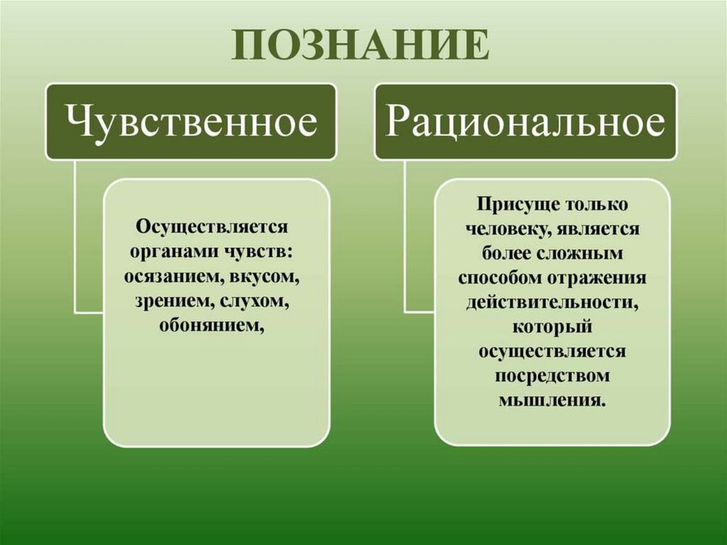 Наука как способ познания окружающего мира план