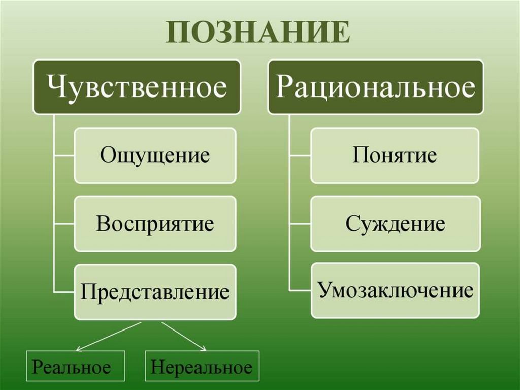 Чувственное познание презентация