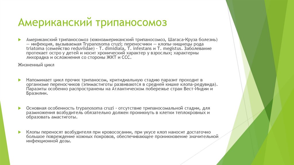 Понять основной. Основные положения документа это. Общие положения в документе это. Положение в документации это. Что такое положение как документ.