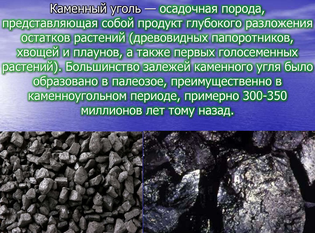 Каменный уголь осадочная