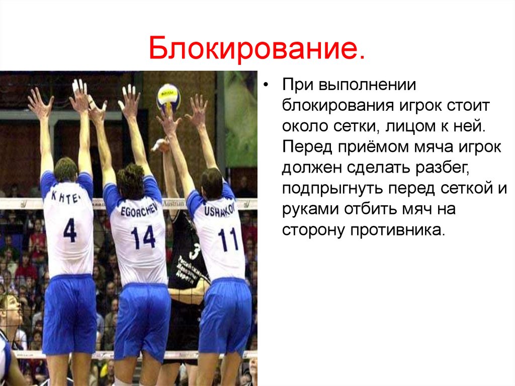 Блокирование. Волейбол игрок перед сеткой. Волейболист около сетки. Техника безопасности при блокировке в волейболе.