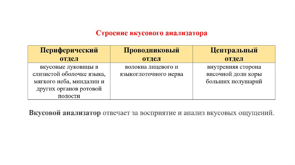 Вкусовой и обонятельный анализаторы боль 8 класс презентация пасечник