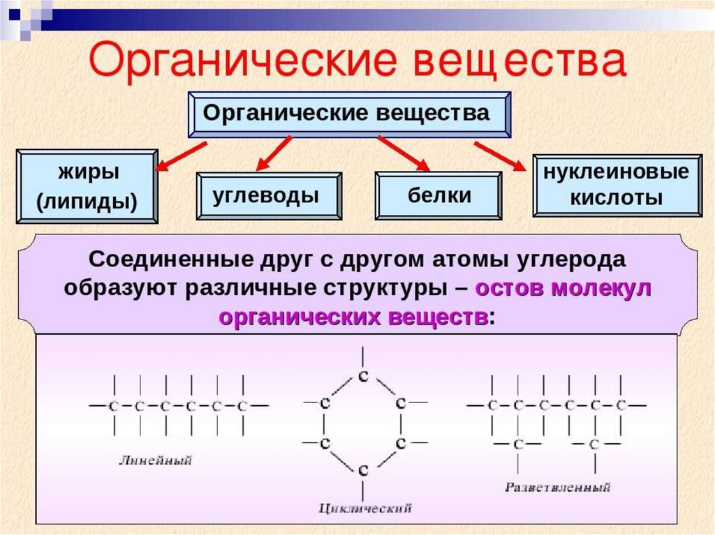 Выберите органические вещества. Все органические вещества. Готовые органические вещества это. Виды органических веществ. Среда органических веществ.