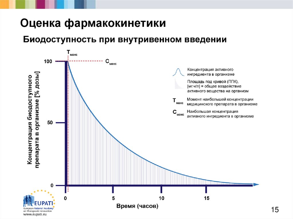 Оценка фармакокинетики