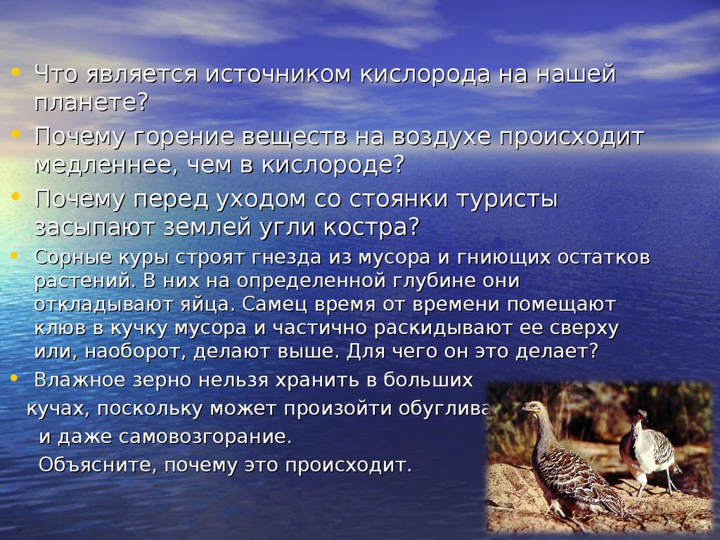 Основной источник кислорода. Растения – основной источник кислорода на земле.. Что является источником кислорода на нашей планете. Основным источником кислорода на земле является процесс. Основные источники кислорода на земле.