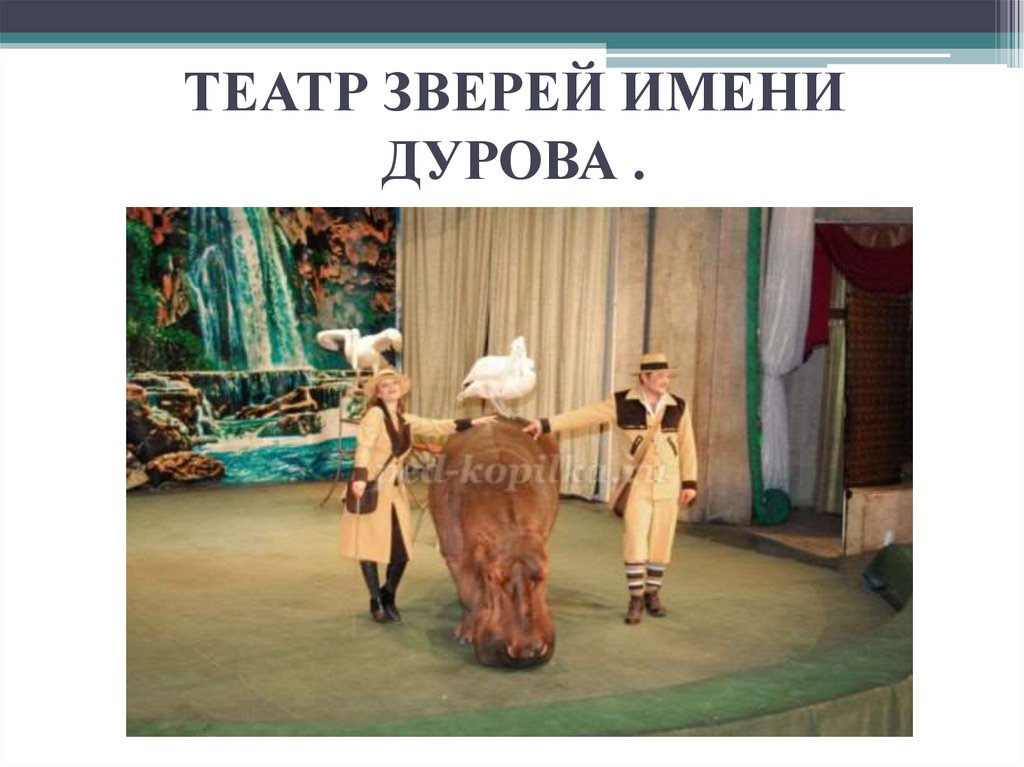 ТЕАТР ЗВЕРЕЙ ИМЕНИ ДУРОВА .