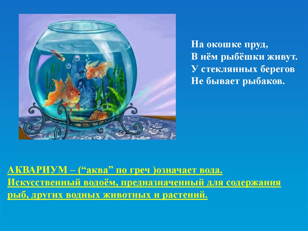 Исследование аквариумных рыбок какая наука. Проект аквариум. Аквариум и его обитатели презентация. Презентация на тему аквариум. Проект аквариум и его обитатели.
