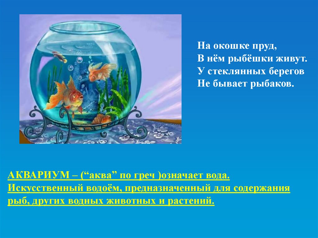 Обитатели аквариума 5 класс биология. Проект аквариум. Аквариум и его обитатели презентация. Презентация на тему аквариум. Проект аквариум и его обитатели.