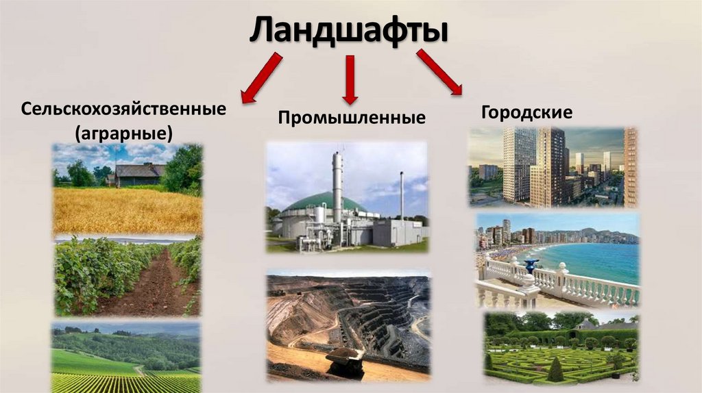 Культурные ландшафты презентация 6 класс полярная звезда