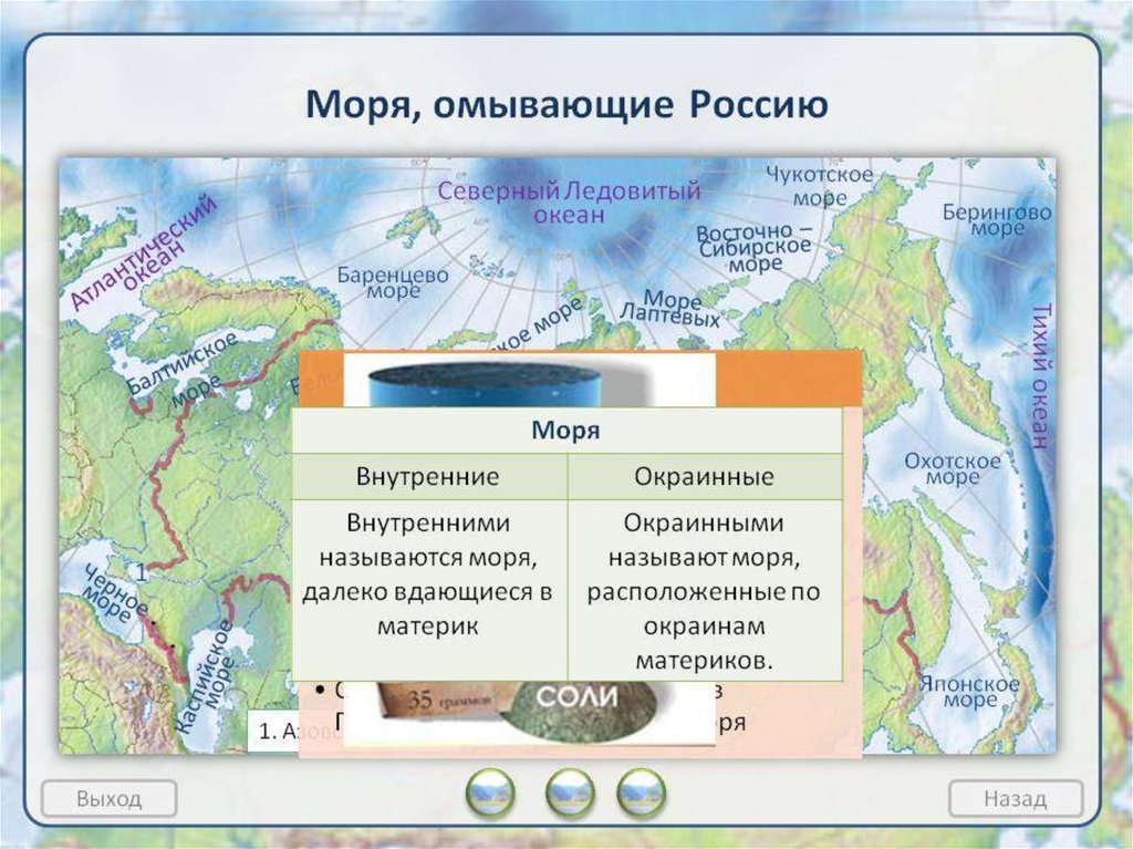 Какими водами омывается. Моря омывающие территорию России. Моря умывающиеся Россию. Моря которые омывают Россию. Моря омывающие Россию на карте.