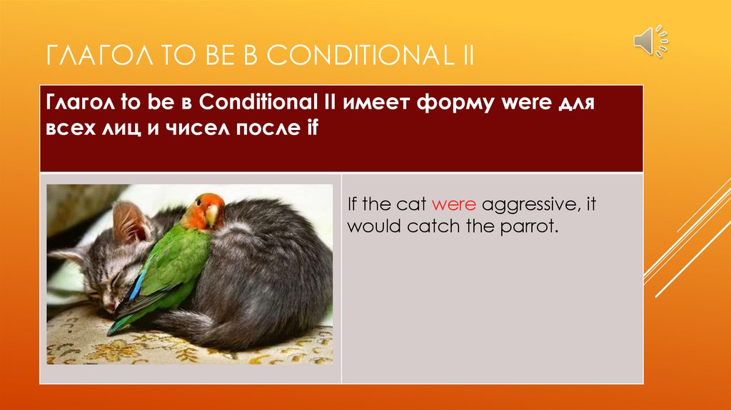 To be в conditionals. Conditionals презентация. фото conditional для презентации.