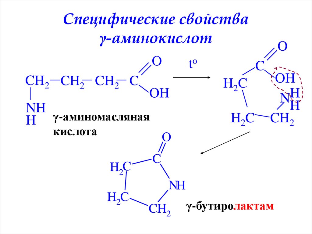 Аминомасляная кислота формула. Формула бета аминомасляной кислоты. Бутиролактам. Формула аминомасляной кислоты. Специфические свойства аминокислот.