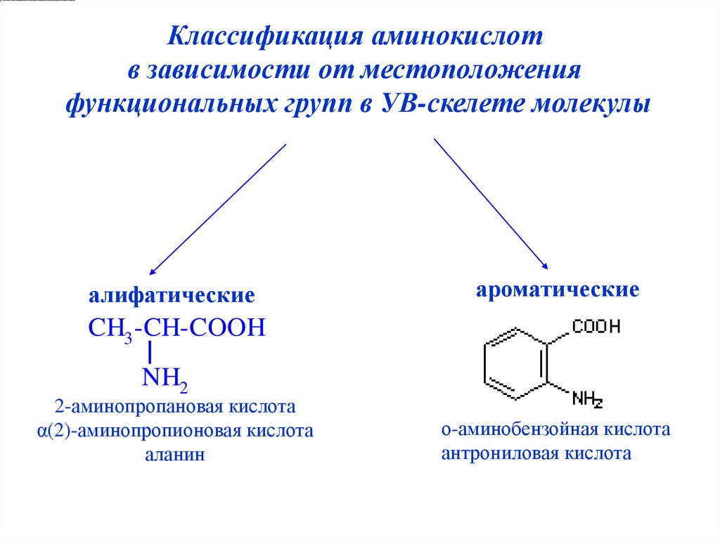 Группа входящие в состав аминокислот. Классификация аминокислот ароматических аминокислоты. Классификация аминокислот по функциональным группам. Алифатические и ароматические аминокислоты. Ациклические (алифатические) аминокислоты.
