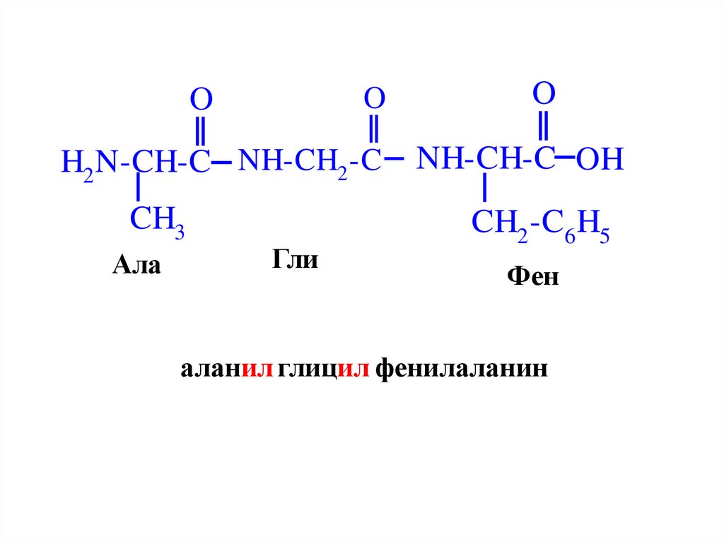 Схема образования дипептида тре фен