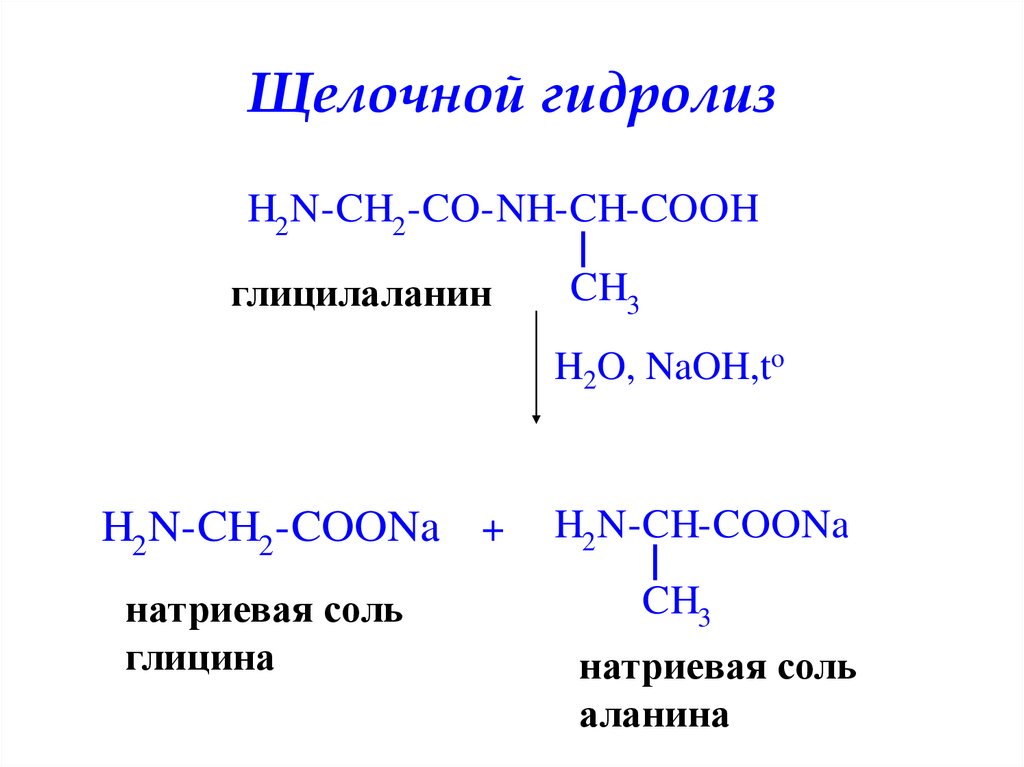Гидролиз глицилаланина