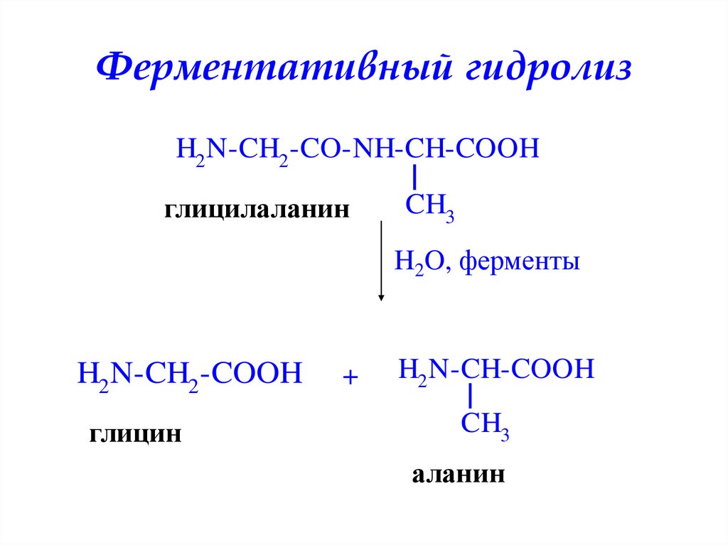 Амины гидролиз. Трипептид щелочной гидролиз. Щелочной гидролиз пептидов. Ферментативный гидролиз белков схема. Кислотный гидролиз простых белков реакция.