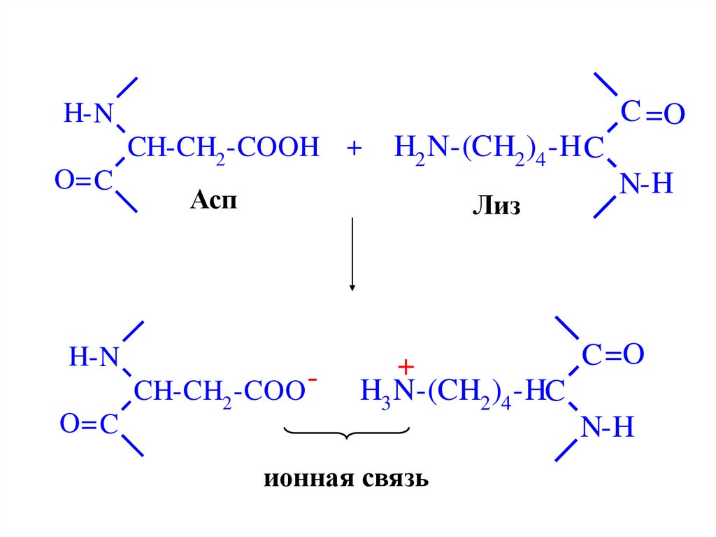 Ионные связи белка. Ионные связи в белках. АСП-Лиз. Какие аминокислоты образуют ионные связи. Образование ионных связей аминокислот.