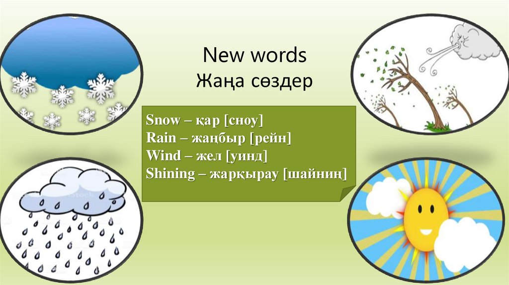 New words Жаңа сөздер
