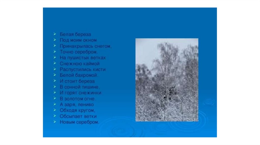 Белая береза под моим окном. Стих на пушистых ветках снежною каймой. Стих белая берёза под моим окном Принакрылась снегом. Стих белая берёза под моим окном Принакрылась снегом точно серебром. Есенин на пушистых ветках.