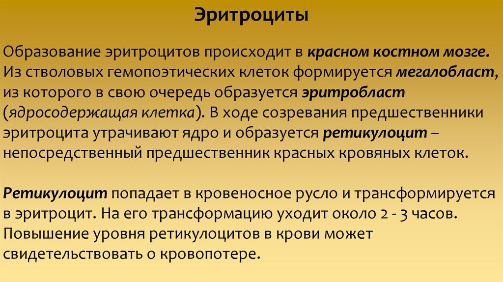 Язык исследовать. Внутренняя и внешняя лингвистика. Разделы внешней лингвистики. Разделы языкознания внешняя лингвистика. Внутренняя и внешняя лингвистика Языкознание.