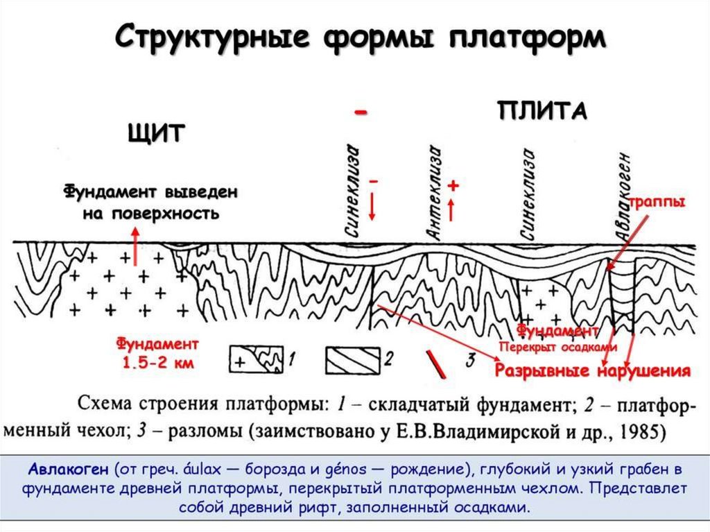 Молодая пл. Авлакоген это в геологии. Строение платформы. Схема строения платформы. Тектонические структуры схема.