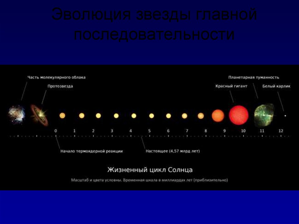 Когда погаснет солнце. Этапы жизни солнца. Жизненный цикл звезды схема. Жизненный цикл звезд, подобных солнцу, выглядит так:. Звёзды главной последовательности фото.