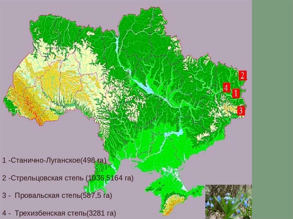 Природные зоны украины карта