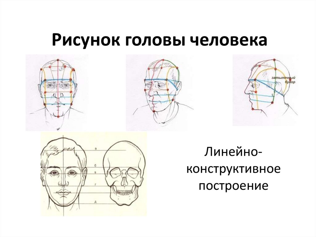 Схема как рисовать голову