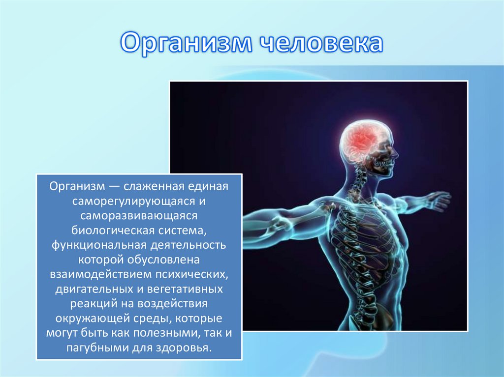 Биологические силы. Организм человека биологическая система. Организм человека как Единая биологическая система. Организм как Единая саморазвивающаяся и саморегулирующаяся система. Общество как организм.