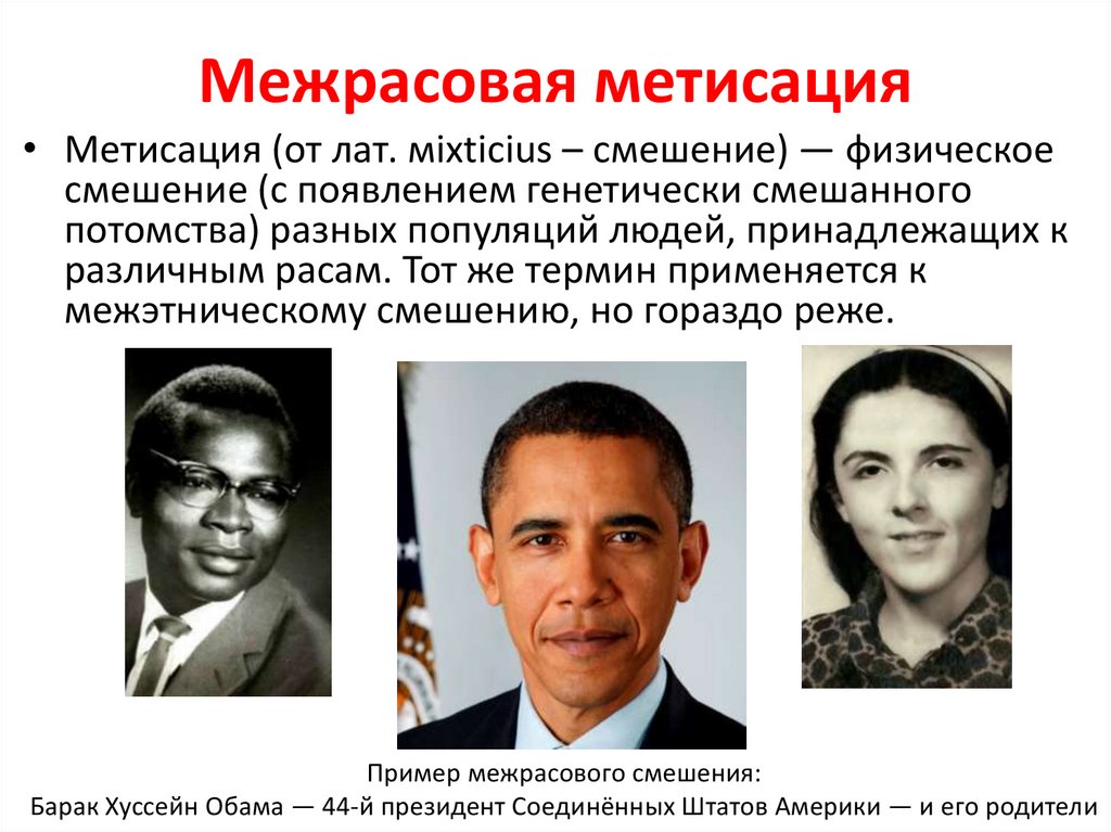 Межрасовая метисация