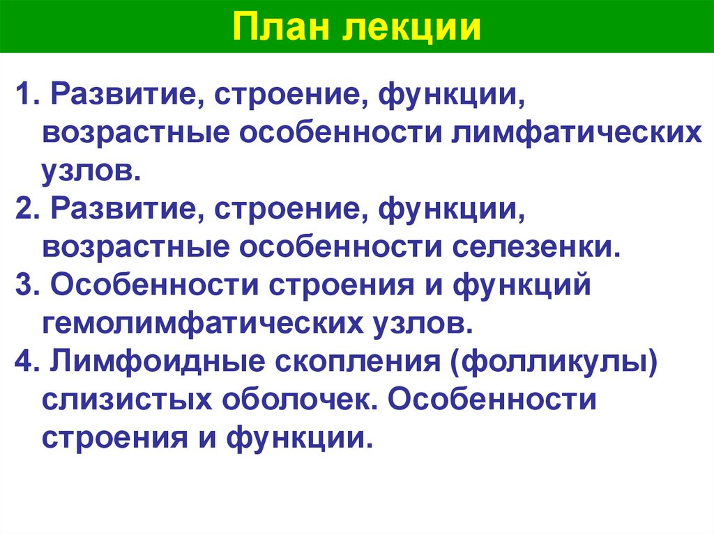 Язык развитие строение. Возрастные особенности лимфатических узлов. Возрастные особенности селезенки. Особенности селезенки у детей. Особенности в строении развития человека.