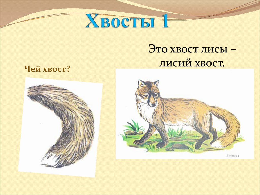 Хвост это. Хвост. Хвост лисы. Чей хвост Лисий. «Чей это хвост?» (Раздаточные картинк.