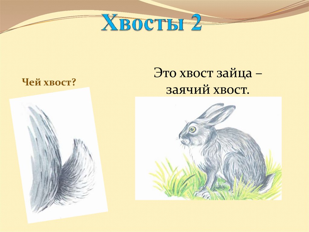 У зайца хвост короткий а уши. Заяц хваста. Игра «чей хвост». Хвостик зайца. Чей хвост заяц.