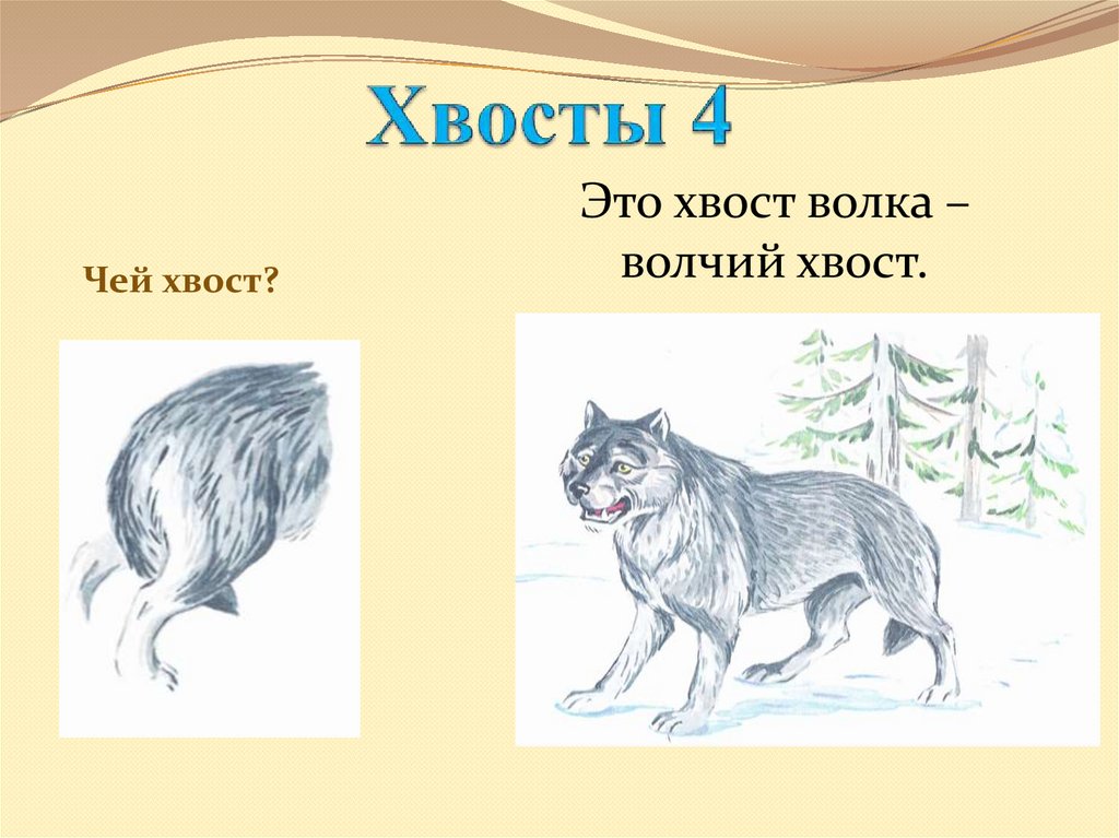 Придумай и запиши словосочетания по образцу волчий. Хвост волка. Чей хвост волк. Хвост волка картинка для детей. Волк с куцым хвостом.