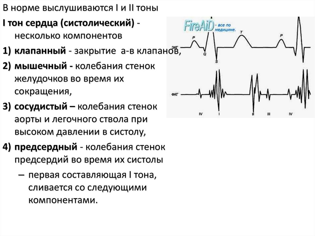 Внутрисердечная гемодинамика. Сердечный цикл регуляция работы сердца. Компоненты тонов сердца. ЭКГ И фазы сердечного цикла. Тоны сердца и фазы сердечного цикла.