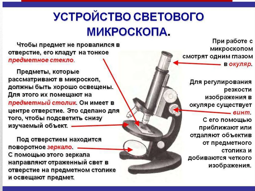 Основная часть презентации содержащая различные объекты называется