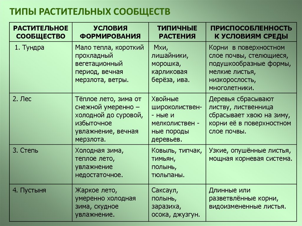 Лесостепь план описания природной зоны 8 класс