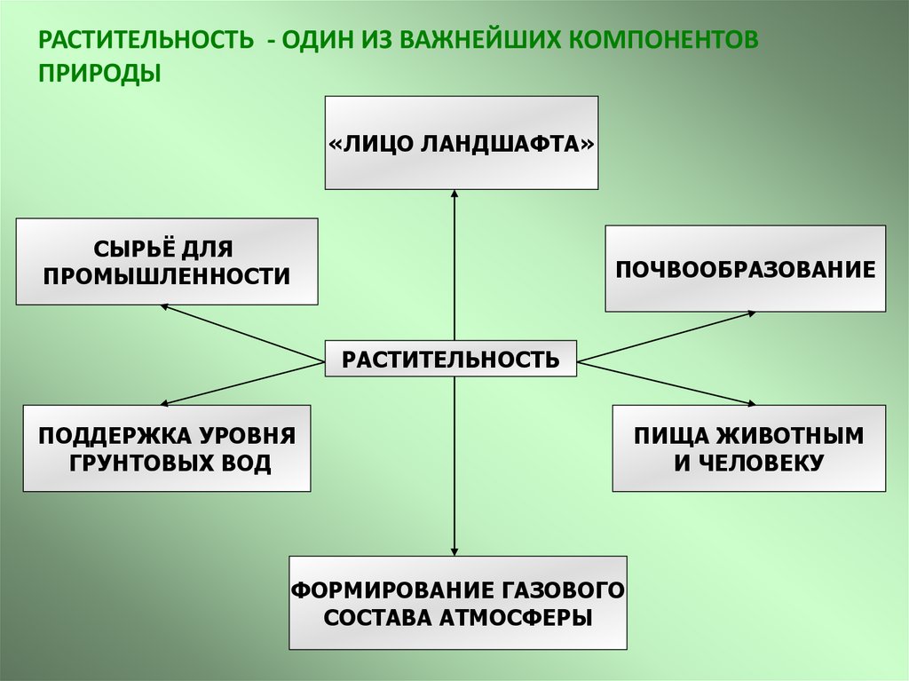 Описание природных компонентов