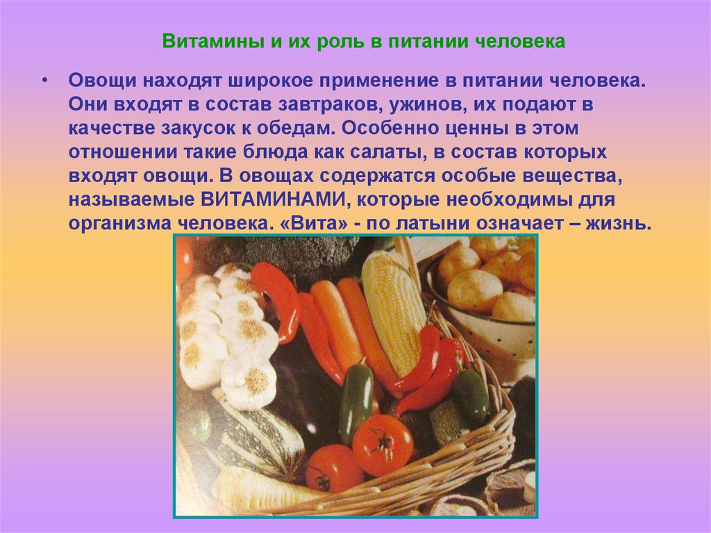 Вещества содержащиеся в овощах. Овощи в питании человека. Роль овощей в питании человека. Важность овощей в питании. Сообщение овощи в питании человека.